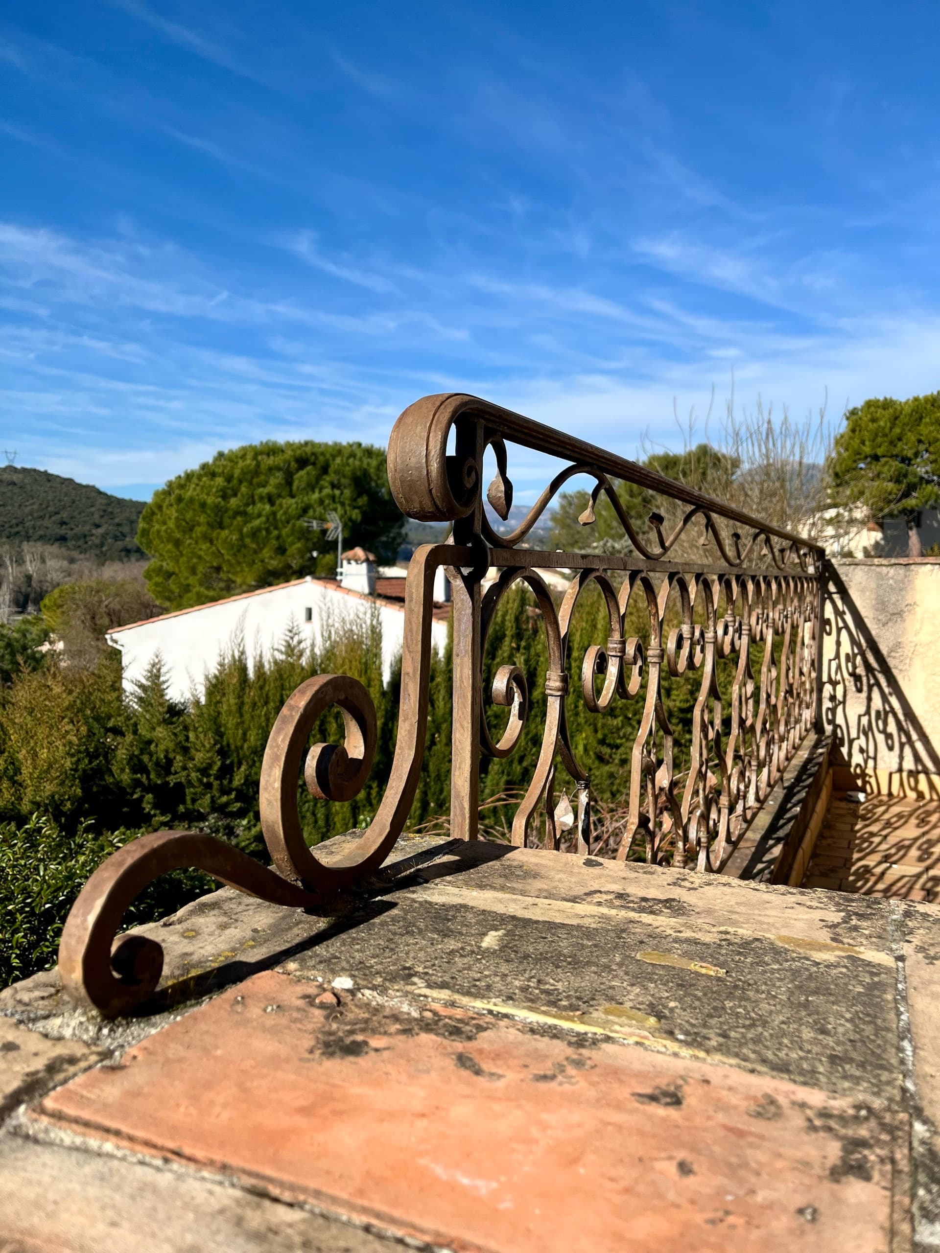 Garde-corps fer forgé sur mesure